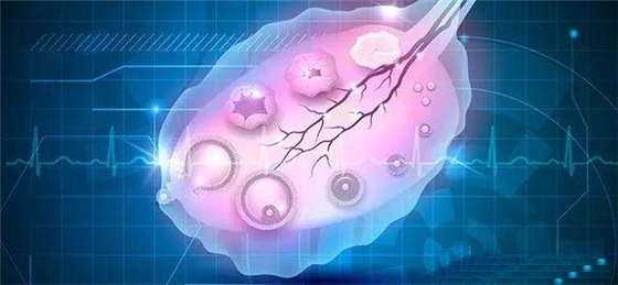 卵泡越大怀孕几率越高吗？多大的卵泡算是合格的卵泡？