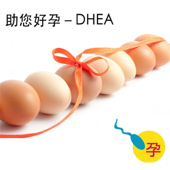 助孕维他命－DHEA是否可改善卵巢功能？助孕维他命－DHEA是否可改善卵巢功能？